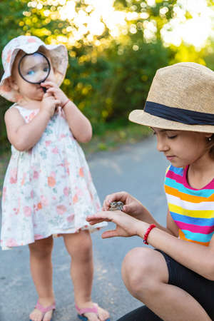 The child is playing with the frog. Selective focus.の写真素材