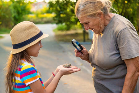 The child is playing with the frog. Selective focus.の写真素材