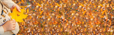 Children in the park with autumn leaves. Selective focus.