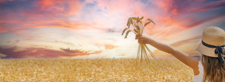 A child in a wheat field. Selective focus.の写真素材