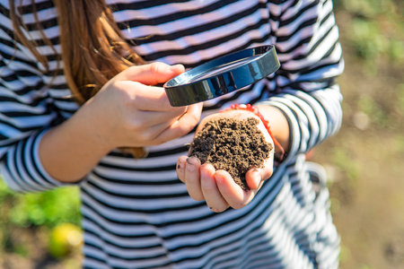 Children examine the soil with a magnifying glass. Selective focus.の写真素材
