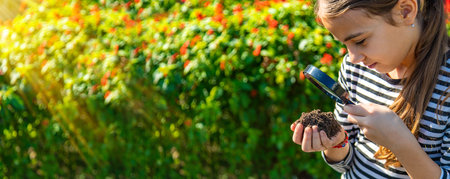 Children examine the soil with a magnifying glass. Selective focus.の写真素材