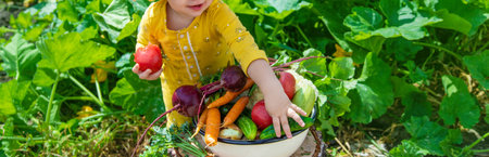 Child in the vegetable garden. selective focus. kid.の写真素材