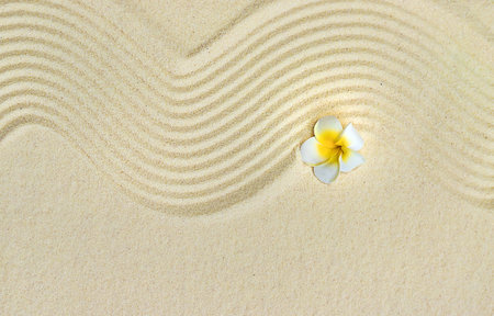 Background with stones on the sand. selective focus. Spa.の写真素材