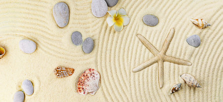 Background with seashells on the sand. selective focus. Spa.の写真素材