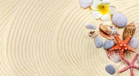 Background with seashells on the sand. selective focus. Spa.の写真素材
