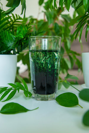 liquid chlorophyll in a glass. selective focus. Nature.の写真素材