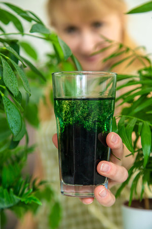 A woman drinks liquid chlorophyll. selective focus. Nature.の写真素材