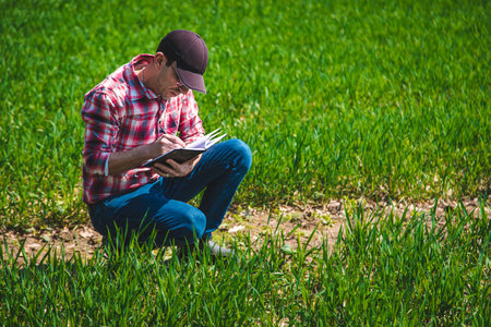 A man farmer checks how wheat grows in the field. selective focus. Nature.
