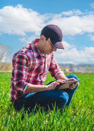 A man farmer checks how wheat grows in the field. selective focus. Nature.