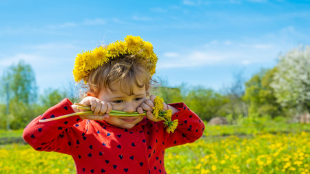 A child in a field of yellow dandelions. selective focus. Nature.の写真素材