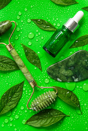 Drops of oil pipette on green leaves background. selective focus. Nature.の写真素材