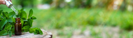 Peppermint essential oil in a bottle. selective focus. Nature.の写真素材