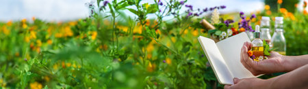 Plants and herbs, nature, alternative medicine. Selective focus.の写真素材