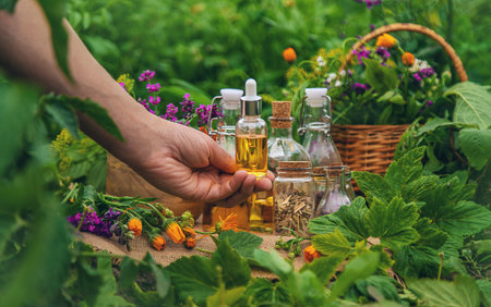 Plants and herbs, nature, alternative medicine. Selective focus.の写真素材
