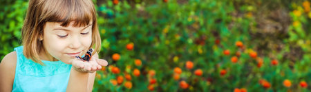 Child with a butterfly. selective focus. nature,の写真素材