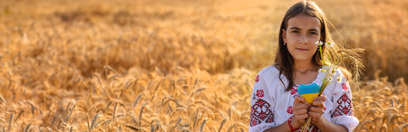 Child in a field of wheat with the flag of Ukraine. selective focus. Nature.の写真素材