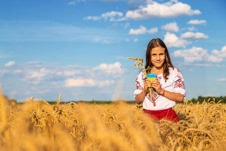 Child in a field of wheat with the flag of Ukraine. selective focus. Nature.の写真素材
