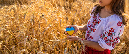 Child in a field of wheat with the flag of Ukraine. selective focus. Nature.の写真素材