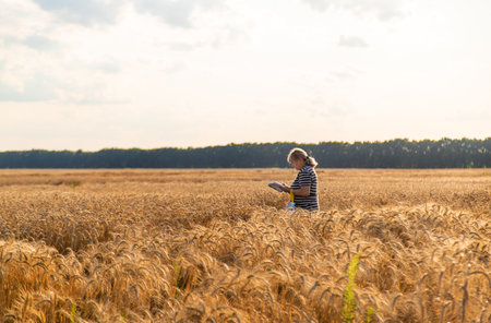 A farmer in a field of wheat checks. selective focus. nature,の写真素材