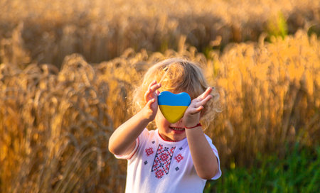 Child in a field of wheat with the flag of Ukraine. selective focus. Nature.の写真素材