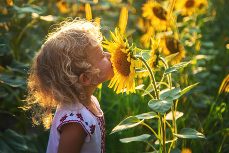 A child in a field of sunflowers Ukraine. selective focus. Nature.の写真素材