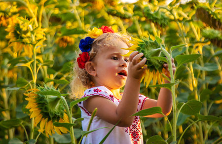 A child in a field of sunflowers Ukraine. selective focus. Nature.の写真素材