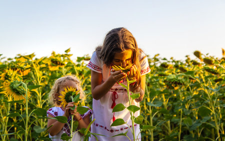A child in a field of sunflowers Ukraine. selective focus. Nature.の写真素材