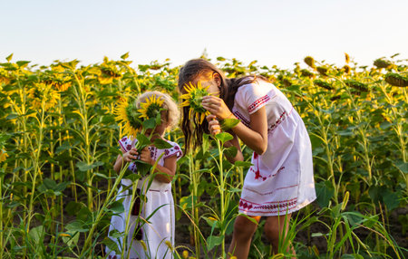 A child in a field of sunflowers Ukraine. selective focus. Nature.の写真素材