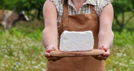 Dairy products on a cow farm are held by a woman in her hands. selective focus. food.の写真素材