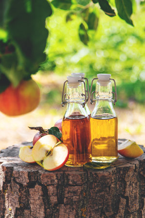 Apple cider vinegar in the garden. Selective focus.の写真素材