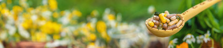 Supplementi and medicinal herbs and flowers. Selective focus. Nature.