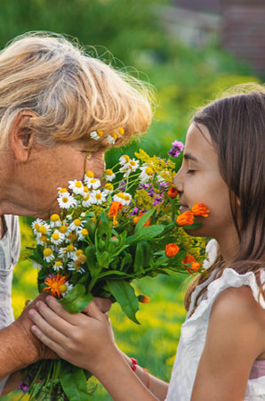 Grandmother and granddaughter hold medicinal herbs and flowers in their hands. Selective focus. Nature.の写真素材