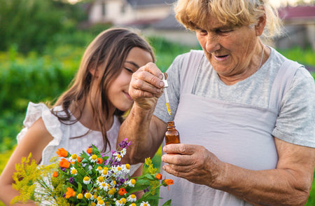 Grandmother and granddaughter hold medicinal herbs and flowers in their hands. Selective focus. Nature.の写真素材