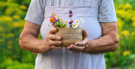 An old woman holds a mortar with medicinal herbs and flowers. Selective focus. Nature.の写真素材