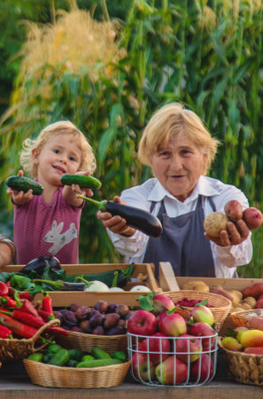 Grandmother and granddaughter sell vegetables and fruits at the farmers market. Selective focus. food.の写真素材