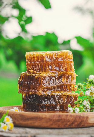 Homemade honey in the garden. Selective focus.の写真素材