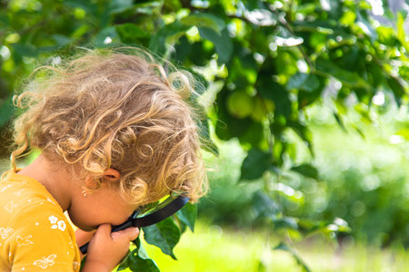 A child studies nature with a magnifying glass. Selective focus. Nature.の写真素材