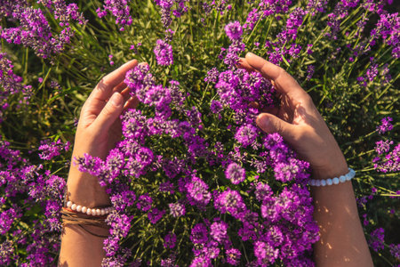 Woman in a lavender field. Selective focus. Nature.