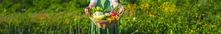 An old woman harvests vegetables in the garden. Selective focus. Food.の写真素材