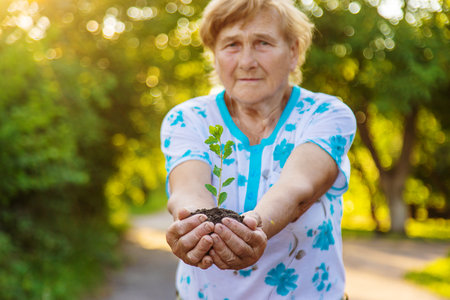 Grandmother holds a tree sprout in her hands. Selective focus. Nature.の写真素材