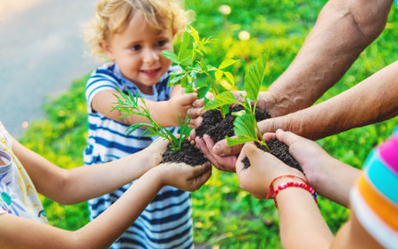 Grandmother and child hold a tree sprout in their hands. Selective focus. Nature.