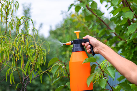 A man sprays trees in the garden. Selective focus. Nature.の写真素材