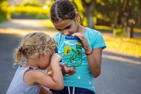 A child looks into a jar with a magnifying glass. Selective focus. Kid.の写真素材