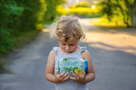 A child looks into a jar with a magnifying glass. Selective focus. Kid.の写真素材