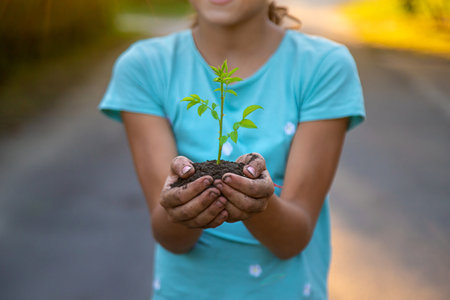 The child holds a plant in his hands. Selective focus. Kid.の写真素材