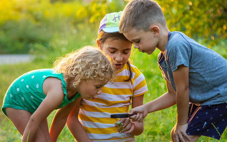 Children look through a magnifying glass together at the plants in the garden. Selective focus. Kid.の写真素材