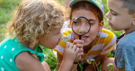 Children look through a magnifying glass together at the plants in the garden. Selective focus. Kid.の写真素材