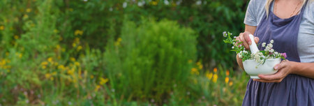 A woman in the garden collects medicinal herbs for tinctures and alternative medicine. Selective focus. Nature.の写真素材