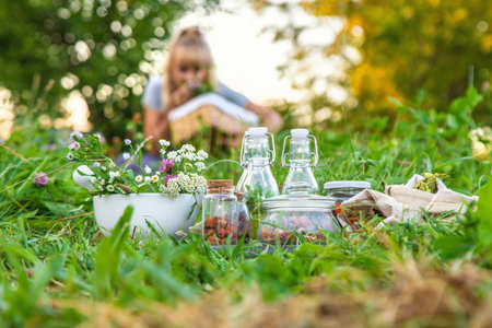 A woman in the garden collects medicinal herbs for tinctures and alternative medicine. Selective focus. Nature.の写真素材